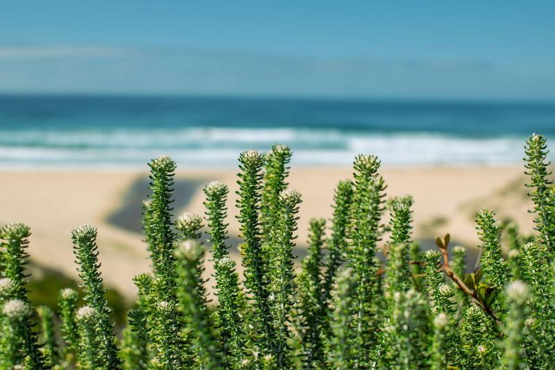 0 Bedroom Property for Sale in Moquini Western Cape